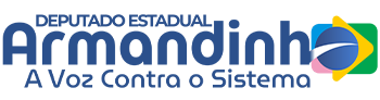 Armandinho 22456 - Deputado Estadual